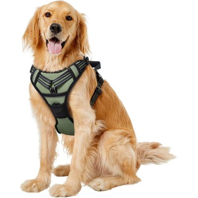 Jespet Jespet & GOOPAWS Adjustable Padded Easy Control Lightweight Reflective Dog Harness, Green, X-Large