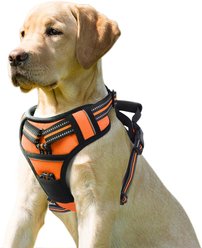 Jespet & GOOPAWS Adjustable Padded Easy Control Lightweight Reflective Dog Harness, Orange, Large