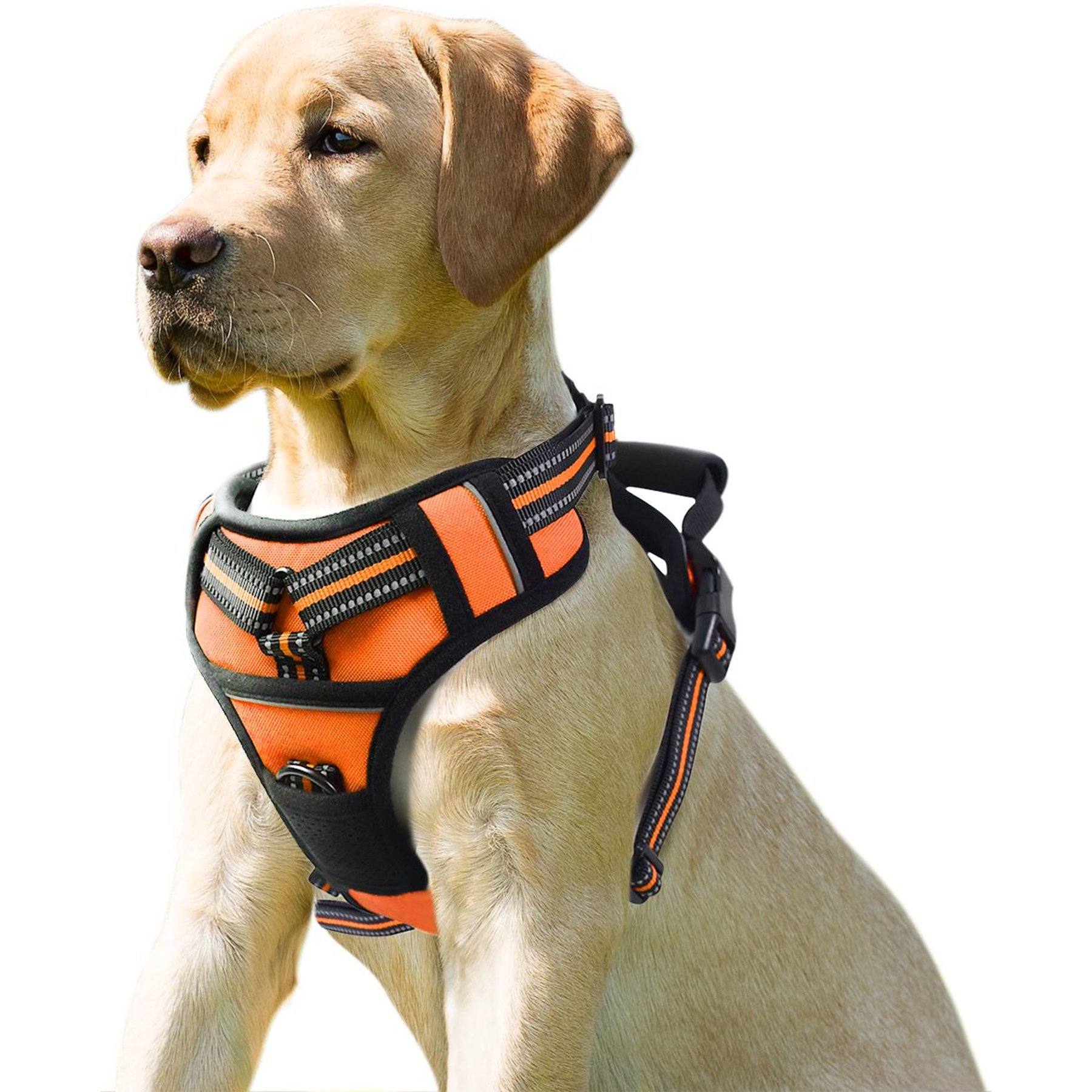 Jespet & GOOPAWS Adjustable Padded Easy Control Lightweight Reflective Dog Harness, Orange, Large