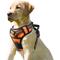 Show in main carousel: Jespet & GOOPAWS Adjustable Padded Easy Control Lightweight Reflective Dog Harness, Orange, Large slide 1 of 10