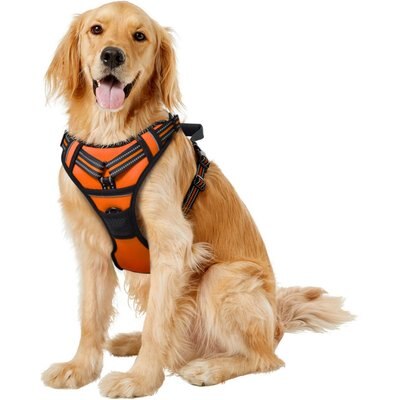 Jespet Jespet & GOOPAWS Adjustable Padded Easy Control Lightweight Reflective Dog Harness, Orange, X-Large
