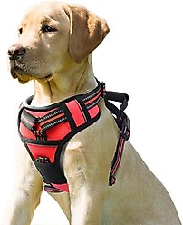 Jespet & GOOPAWS Adjustable Padded Easy Control Lightweight Reflective Dog Harness, Red, Large