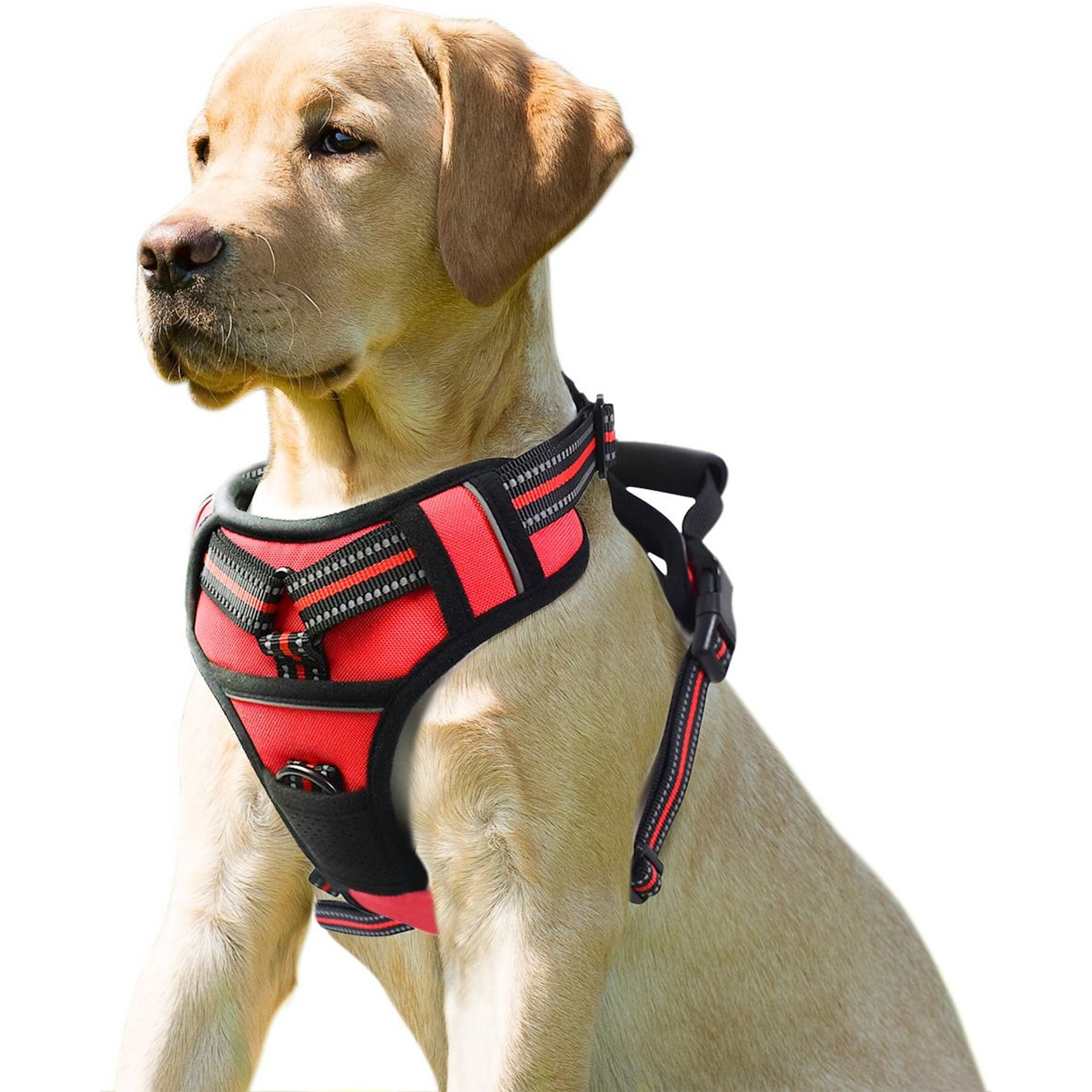 Jespet & GOOPAWS Adjustable Padded Easy Control Lightweight Reflective Dog Harness, Red, Large