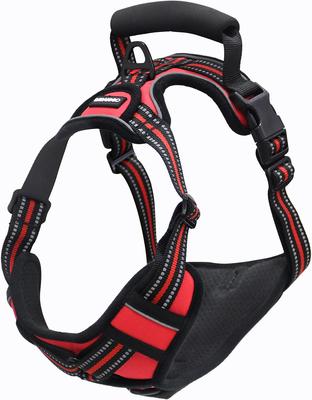 Show full view: Jespet & GOOPAWS Adjustable Padded Easy Control Lightweight Reflective Dog Harness, Red, Large slide 8 of 9