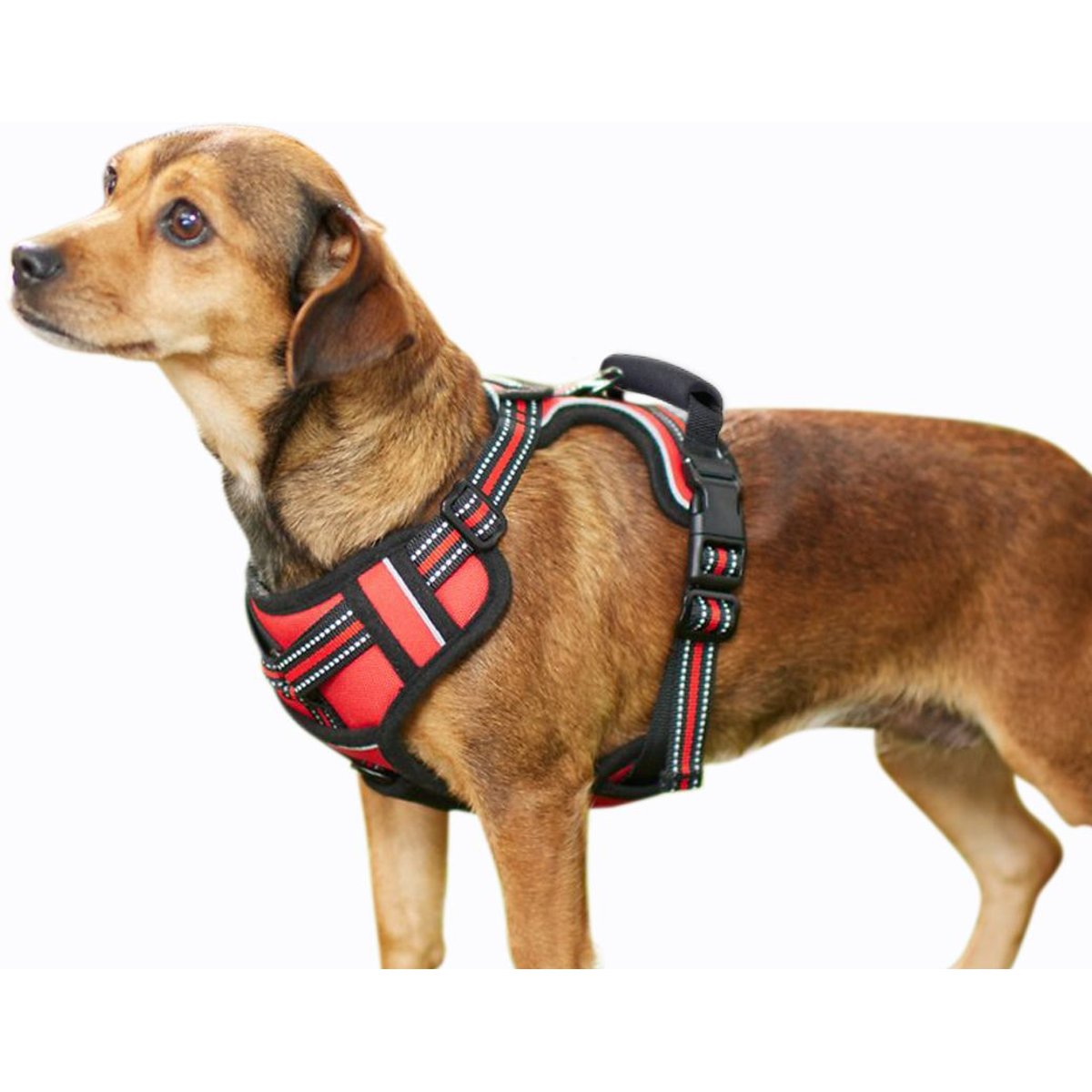 Jespet & GOOPAWS Adjustable Padded Easy Control Lightweight Reflective Dog Harness, Red, Medium