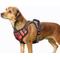 Show in main carousel: Jespet Goopaws Adjustable Padded Easy Control Lightweight Reflective Dog Harness, Red, Medium slide 1 of 9