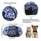Show in main carousel: Jespet & GOOPAWS Soft-Sided Airline-Approved Travel Dog & Cat Carrier, Medium, Floral Print Blue, 19-in slide 7 of 10