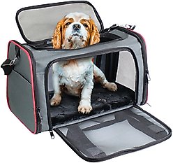 Jespet Soft-Sided Airline-Approved Travel Dog & Cat Carrier, Gray/Red, Medium/Large