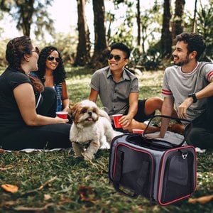 Jespet Soft-Sided Airline-Approved Travel Dog & Cat Carrier, Gray/Red, Small/Medium
