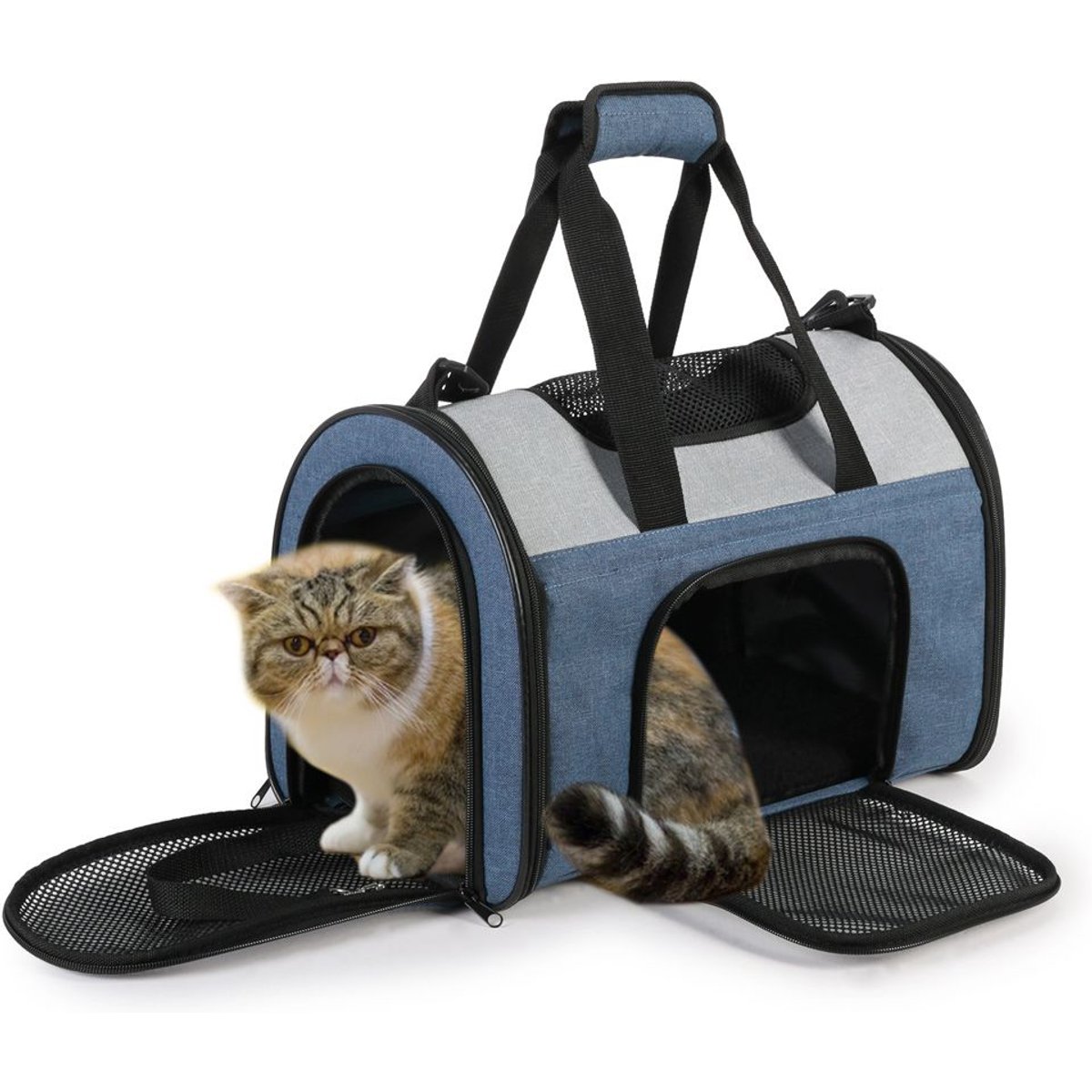 GOOPAWS Soft-Sided Sport Dog & Cat Carrier Bag, Dark Blue, 16-in