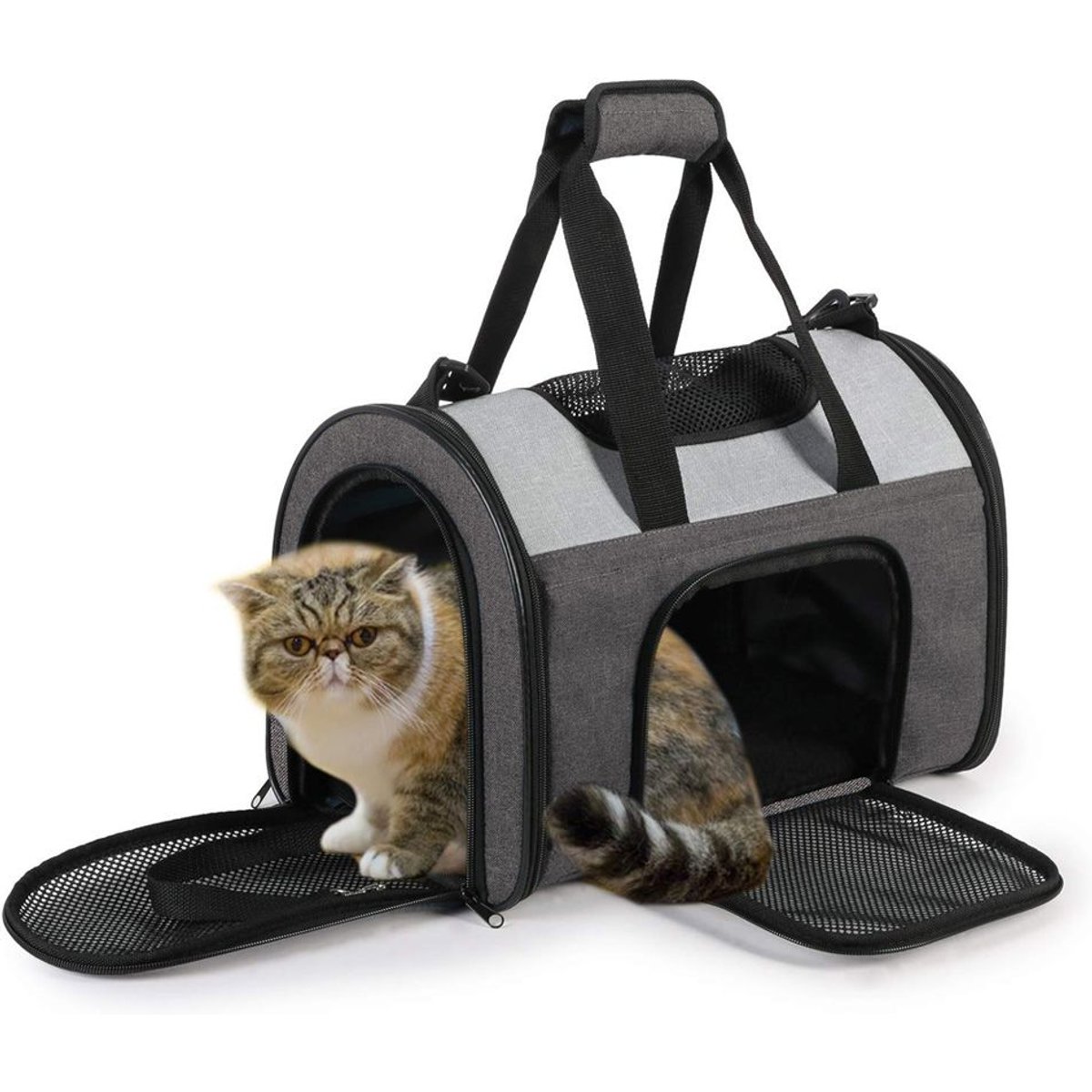 GOOPAWS Soft-Sided Sport Dog & Cat Carrier Bag, Smoke Grey, 16-in