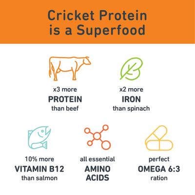 Show full view: Jiminy's Cricket Cookie Pumpkin & Carrot Recipe Chicken-Free Soft Training Dog Treats, 6-oz bag, count slide 8 of 11