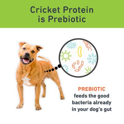 Show full view: Jiminy's Cricket Peas & Sweet Potato Recipe Chicken-Free Dog Treats, 6-oz bag, 1 count slide 7 of 11