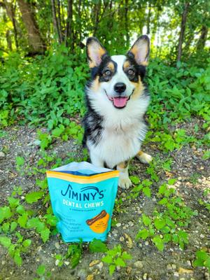 Show full view: Jiminy's Dog Dental Chew Treat, Small, 20 count slide 7 of 8