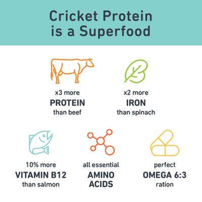 Show full view: Jiminy's Grain-Free Cricket Cookie Original Recipe Dog Treats, 5-oz bag, 1 count slide 9 of 10