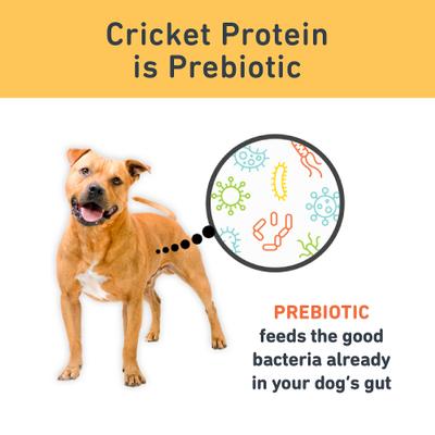 Show full view: Jiminy's Grain-Free Cricket Cookie Peanut Butter & Blueberry Recipe Dog Treats, 5-oz bag, 1 count slide 7 of 10