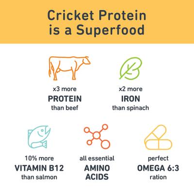 Show full view: Jiminy's Grain-Free Cricket Cookie Peanut Butter & Blueberry Recipe Dog Treats, 5-oz bag, 1 count slide 9 of 10