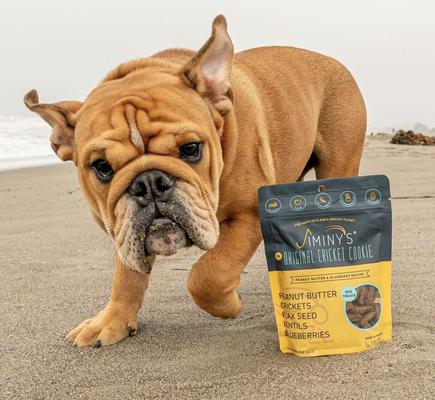 Show full view: Jiminy's Grain-Free Cricket Cookie Peanut Butter & Blueberry Recipe Dog Treats, 5-oz bag, 1 count slide 4 of 10