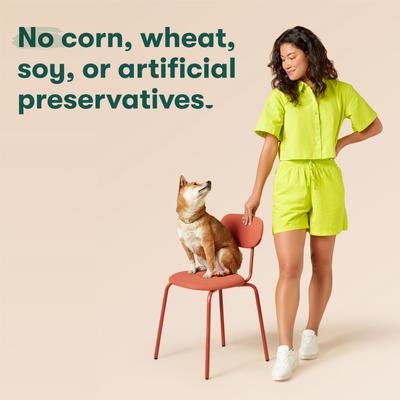 Show full view: Jinx Homemades Grain-Free Beef & Chicken Pate Wet Dog Food, 9-oz pouch, case of 12 slide 6 of 10