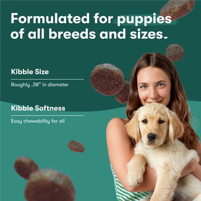 Show full view: Jinx Jr Whole Grain Chicken Recipe Natural Dry Puppy Food, 4-lb bag slide 9 of 10