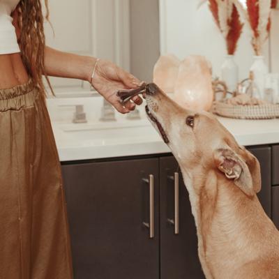 Show full view: Jinx Large Dental Dog Treats, 4 count slide 9 of 10