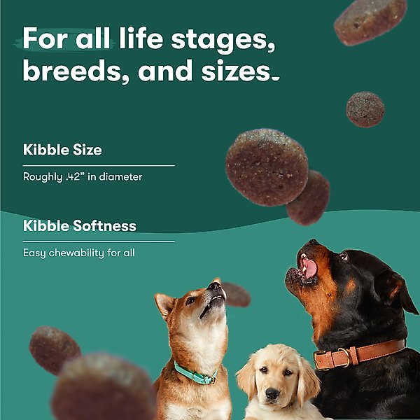Show full view: Jinx Salmon, Brown Rice & Sweet Potato ALS Kibble Dog Dry Food, 23.5-lb bag slide 9 of 13