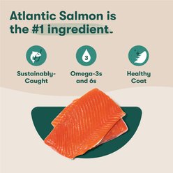 Jinx Salmon, Sweet Potato & Carrot ALS Kibble Dog Dry Food, 23.5-lb bag slide 2 of 8