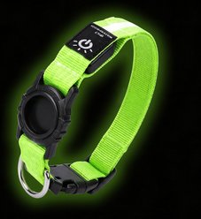 JOEJOY LED Waterproof Reflective Dog Collar, Green, Small: 12 to 15-in neck, 1-in wide