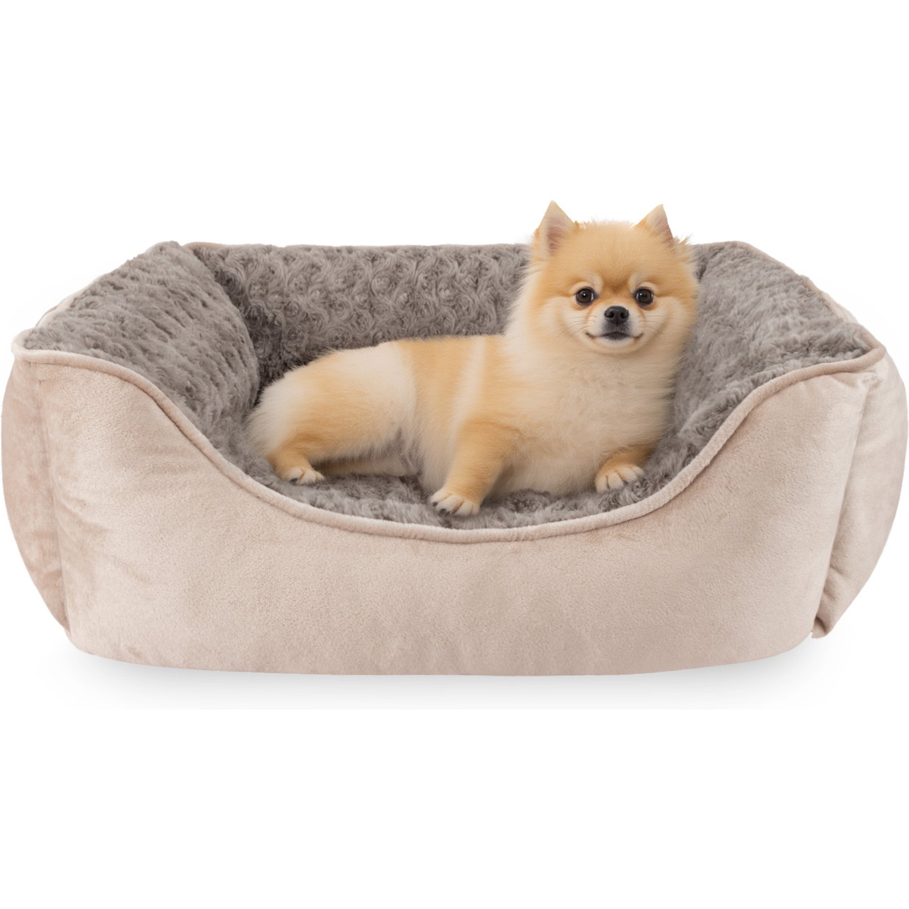 JOEJOY Washable Dog Bed, Beige, Small