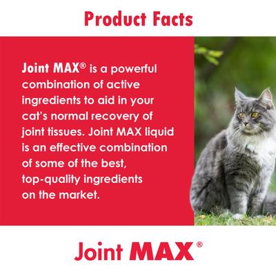 Show full view: Joint MAX Cat Granules, 60 doses slide 7 of 10