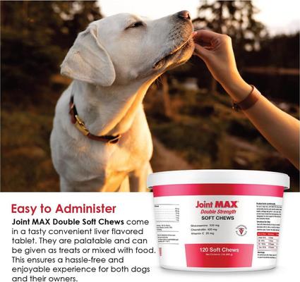 Show full view: Joint MAX Double Strength Soft Chews for Dogs, 120 count slide 6 of 12