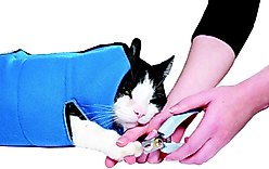 Jokari Animal Hugger Small Cat & Dog Grooming Wrap, Blue