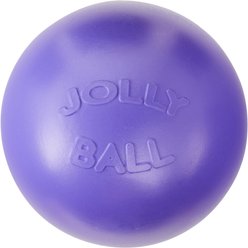 Jolly Pets 10" Push-n-Play Ball Dog Toy, Purple