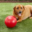 Show in main carousel: Jolly Pets 10" Push-n-Play Ball Dog Toy, Red slide 4 of 6