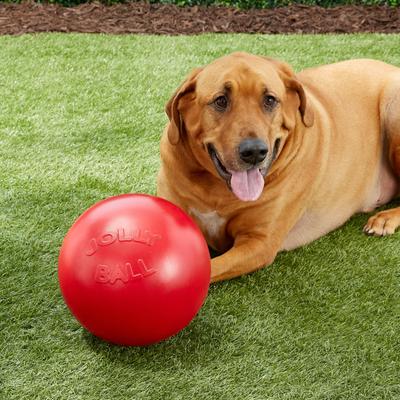 Show full view: Jolly Pets 10" Push-n-Play Ball Dog Toy, Red slide 4 of 6