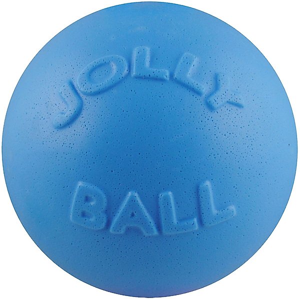 Show full view: Jolly Pets Bounce-n-Play Dog Toy, Blueberry, 4.5-in slide 1 of 6