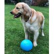Show in main carousel: Jolly Pets Bounce-n-Play Dog Toy, Blueberry, 4.5-in slide 2 of 6