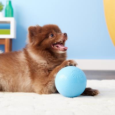 Show full view: Jolly Pets Bounce-n-Play Dog Toy, Blueberry, 4.5-in slide 4 of 6