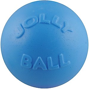 Jolly Pets Bounce-n-Play Dog Toy, Blueberry, 6-in