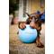 Show in main carousel: Jolly Pets Bounce-n-Play Dog Toy, Blueberry, 8-in slide 2 of 7