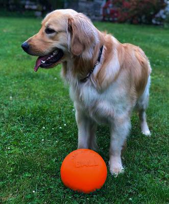 Show full view: Jolly Pets Bounce-n-Play Dog Toy, Orange, 8-in slide 2 of 6
