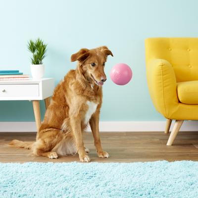Show full view: Jolly Pets Bounce-n-Play Dog Toy, Pink, 4.5-in slide 4 of 6