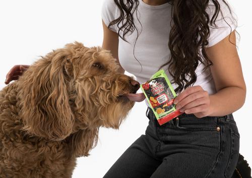 Show full view: Jolly Pets Fill'n Pumpkin Peanut Butter Dog Treat, 1-oz bag, 10 count slide 3 of 6