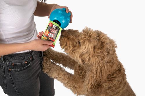 Show full view: Jolly Pets Fill'n Pumpkin Peanut Butter Dog Treat, 1-oz bag, 10 count slide 4 of 6