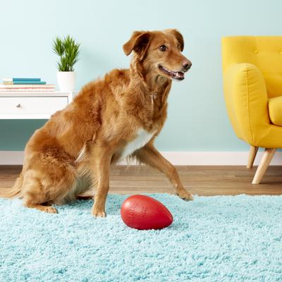 Show full view: Jolly Pets Jolly Egg Dog Toy, Red, 8-in slide 4 of 7