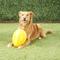 Show in main carousel: Jolly Pets Jolly Egg Dog Toy, Yellow, 12-in slide 3 of 6