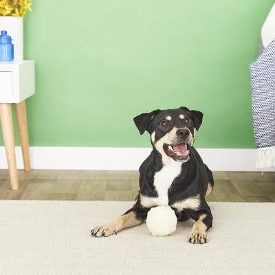 Show full view: Jolly Pets Jolly Jumper Ball Dog Toy, Glow, 4-in slide 4 of 7