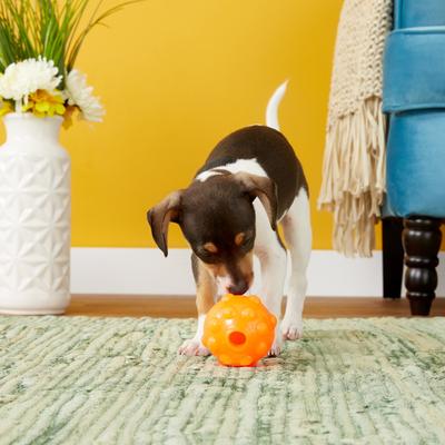 Show full view: Jolly Pets Jolly Jumper Ball Dog Toy, Orange, 3-in slide 4 of 7