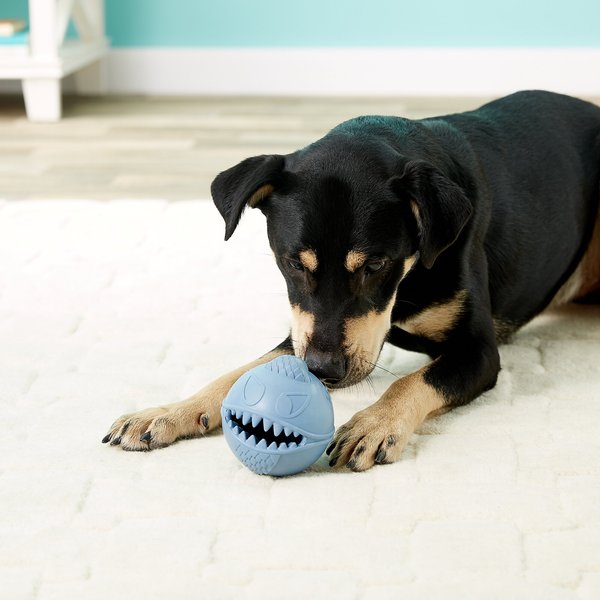 Show full view: Jolly Pets Monster Ball Dog Toy, 3.5-in slide 5 of 7