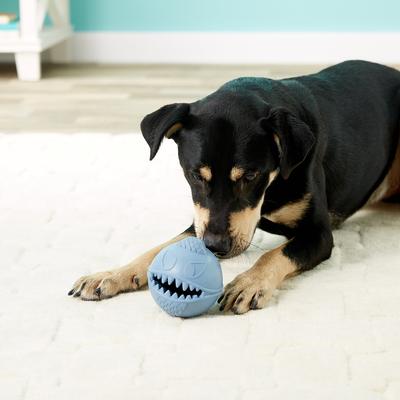 Show full view: Jolly Pets Monster Ball Dog Toy, 3.5-in slide 6 of 8